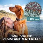 Urban Dog Collar Set with Leash and Harness