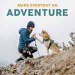 Urban Dog Collar Set with Leash and Harness