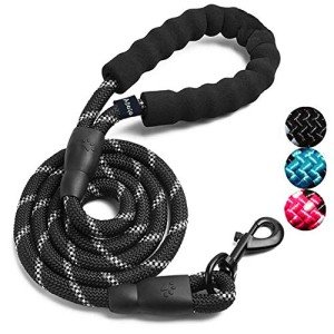 ADOGO® Reflective Soft Padded Dog Leash – 5FT