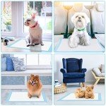 100 Pack Puppy Training Pads - Leakproof & Absorbent