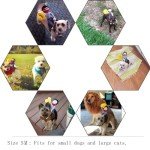 Cowboy Rider Dog Costume for Halloween (XS)