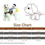 Cowboy Rider Dog Costume for Halloween (XS)