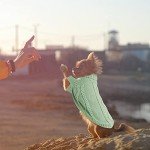 Cozy Knitted Dog Jumper for Small Breeds