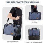 Denim Pet Carrier Bag for Cats and Small Dogs