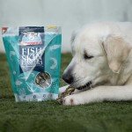 Fish Skin Jerky Fingers for Healthy Dogs
