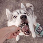 Fish Skin Jerky Fingers for Healthy Dogs