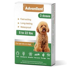 Natural Flea and Tick Treatment for Small Dogs