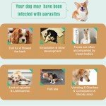 Natural Flea and Tick Treatment for Small Dogs