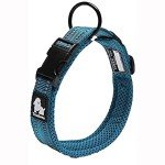 Truelove Reflective Dog Training Collar - Blue