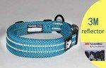 Truelove Reflective Dog Training Collar - Blue