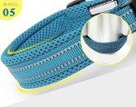 Truelove Reflective Dog Training Collar - Blue