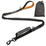 Bungee Dog Lead with Shock Absorber - Black
