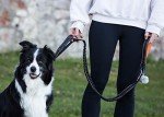 Bungee Dog Lead with Shock Absorber - Black