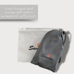 Bungee Dog Lead with Shock Absorber - Black