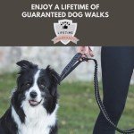 Bungee Dog Lead with Shock Absorber - Black