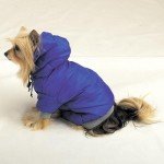Black Fleece-Lined Eskimo Coat for Dogs - X-Small