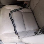 2 Pack Black Dog Seat Belts for Cars