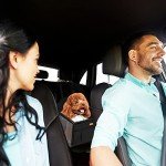 Portable Booster Car Seat for Small Dogs