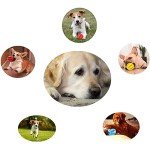 3-Pack Interactive Treat Dispenser Dog Toy Balls