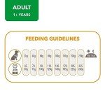 IAMS Complete Dry Dog Food for Small Breeds