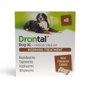 Bayer Drontal Plus Worming Tablets for XL Dogs