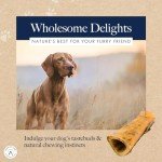 Natural Smoked Shank Bone for Adult Dogs