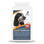 Joint Health Supplement for Dogs - 300 Tablets