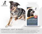 Joint Health Supplement for Dogs - 300 Tablets