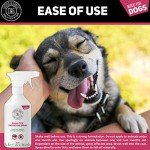 Natural Flea and Tick Spray for Dogs - 250ML