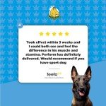 ProDog Maximus Performance Supplement for Dogs