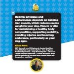 ProDog Maximus Performance Supplement for Dogs