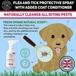 Natural Flea and Tick Spray for Dogs - 250ML