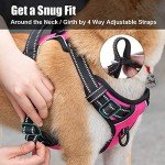PoyPet Reflective No Pull Dog Harness, Hot Pink