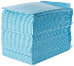 Ultra Absorbent Dog Training Pads - Medium