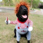 Funny Dog Chucky Costume for Halloween Fun
