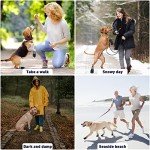 Dricar Waterproof Dog Boots for Paws (Set of 4)