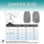 Cozy Winter Dog Sweater for Small & Medium Dogs