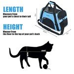 Airline Approved Soft-Sided Pet Carrier for Dogs
