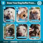 Dr. Senst Antiseptic Eye Drops for Dogs