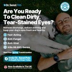 Dr. Senst Antiseptic Eye Drops for Dogs
