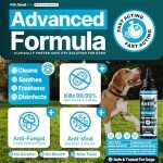 Dr. Senst Antiseptic Eye Drops for Dogs