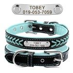 Personalized Blue Leather Dog Collar with Engraving