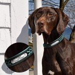 Personalized Blue Leather Dog Collar with Engraving