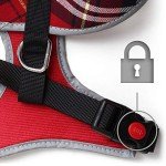 Sweat-Proof Tartan Dog Harness with Reflective Piping