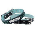 Personalized Blue Leather Dog Collar with Engraving