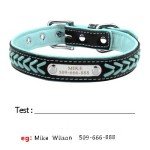 Personalized Blue Leather Dog Collar with Engraving