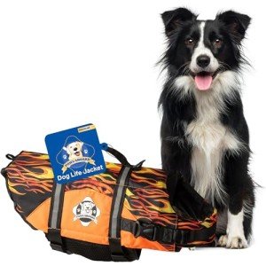 Paws Aboard Dog Life Jacket - Racing Flames