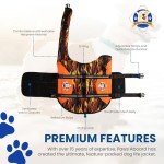 Paws Aboard Dog Life Jacket - Racing Flames