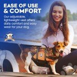 Paws Aboard Dog Life Jacket - Racing Flames