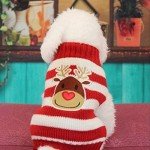 Reindeer Turtleneck Christmas Sweater for Dogs
